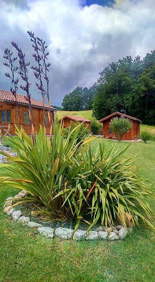 Chalet de 2 chambres avec piscine partagee jardin amenage et wifi a Dausse Extérieur photo